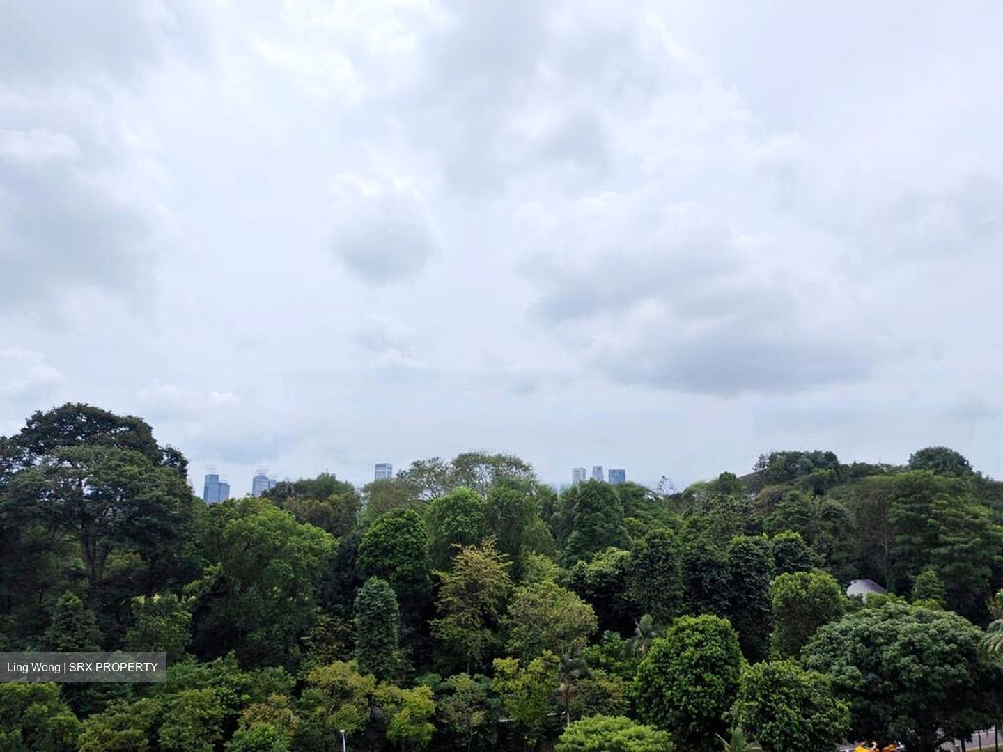 Cavenagh Court (D9), Apartment #458965071